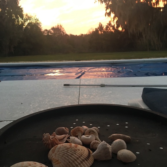 Meet your Posher, Patricia - Picture 3 of 4